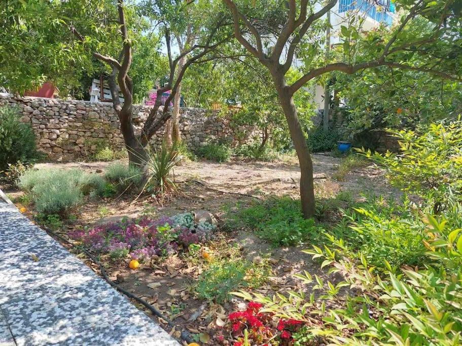 Mel'S Garden House In The Heart Of The City Bodrum Kültér fotó