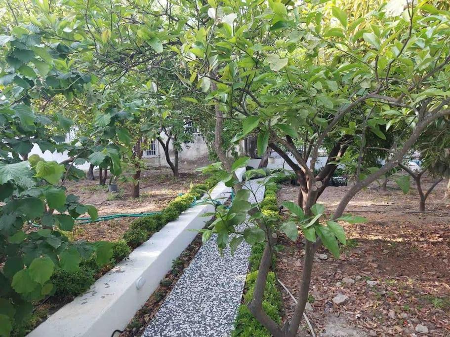 Mel'S Garden House In The Heart Of The City Bodrum Kültér fotó