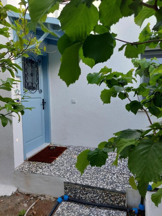 Mel'S Garden House In The Heart Of The City Bodrum Kültér fotó